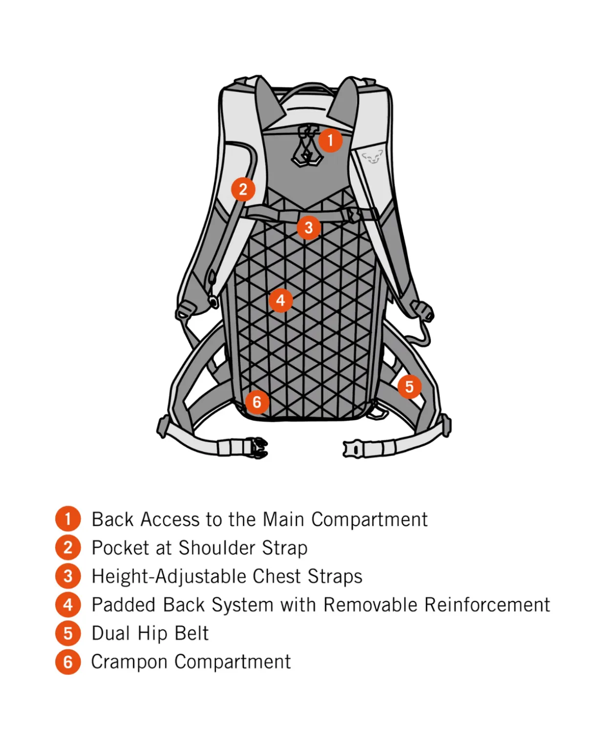 Dynafit Free 34 Backpack - Storm Blue Blueberry