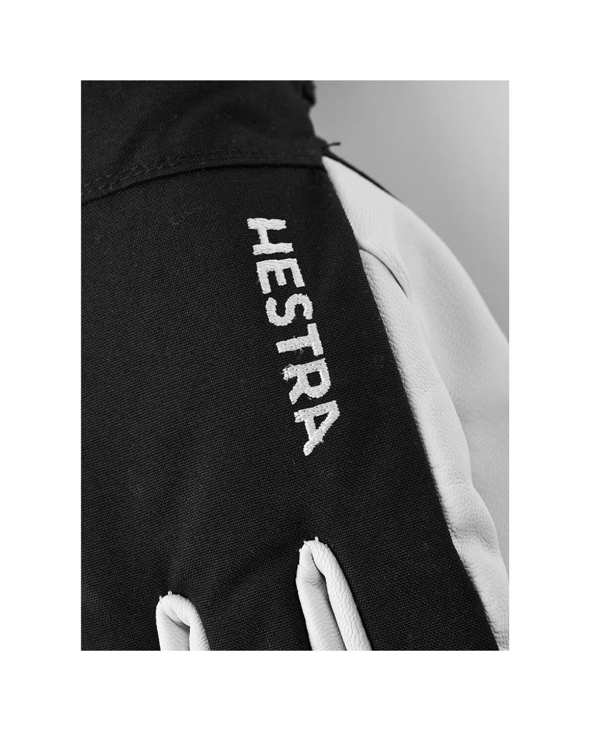 Hestra Army Leather Heli Ski 5 Finger - Black
