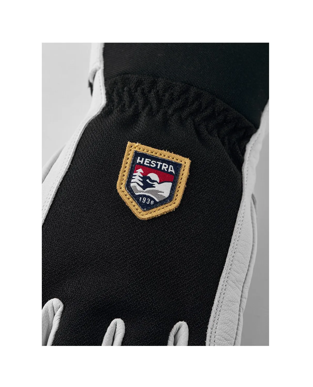 Hestra Army Leather Patrol 5 Finger - Black