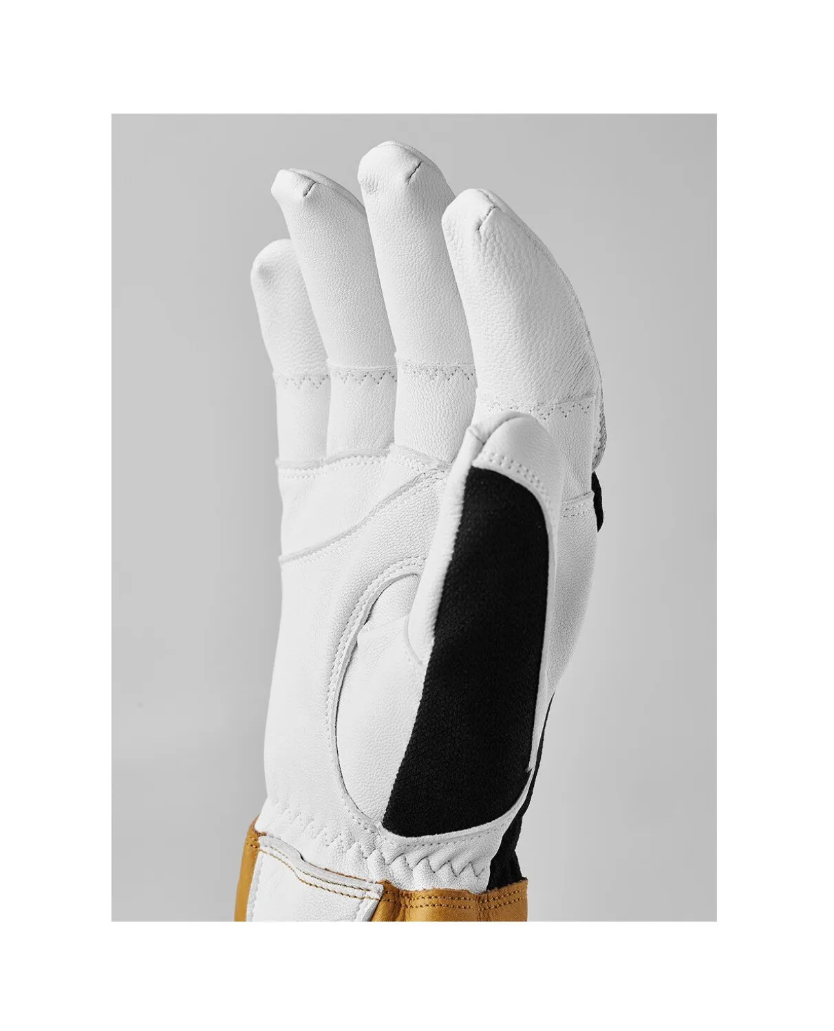 Hestra Ergo Grip Alpha 5 Finger - Black