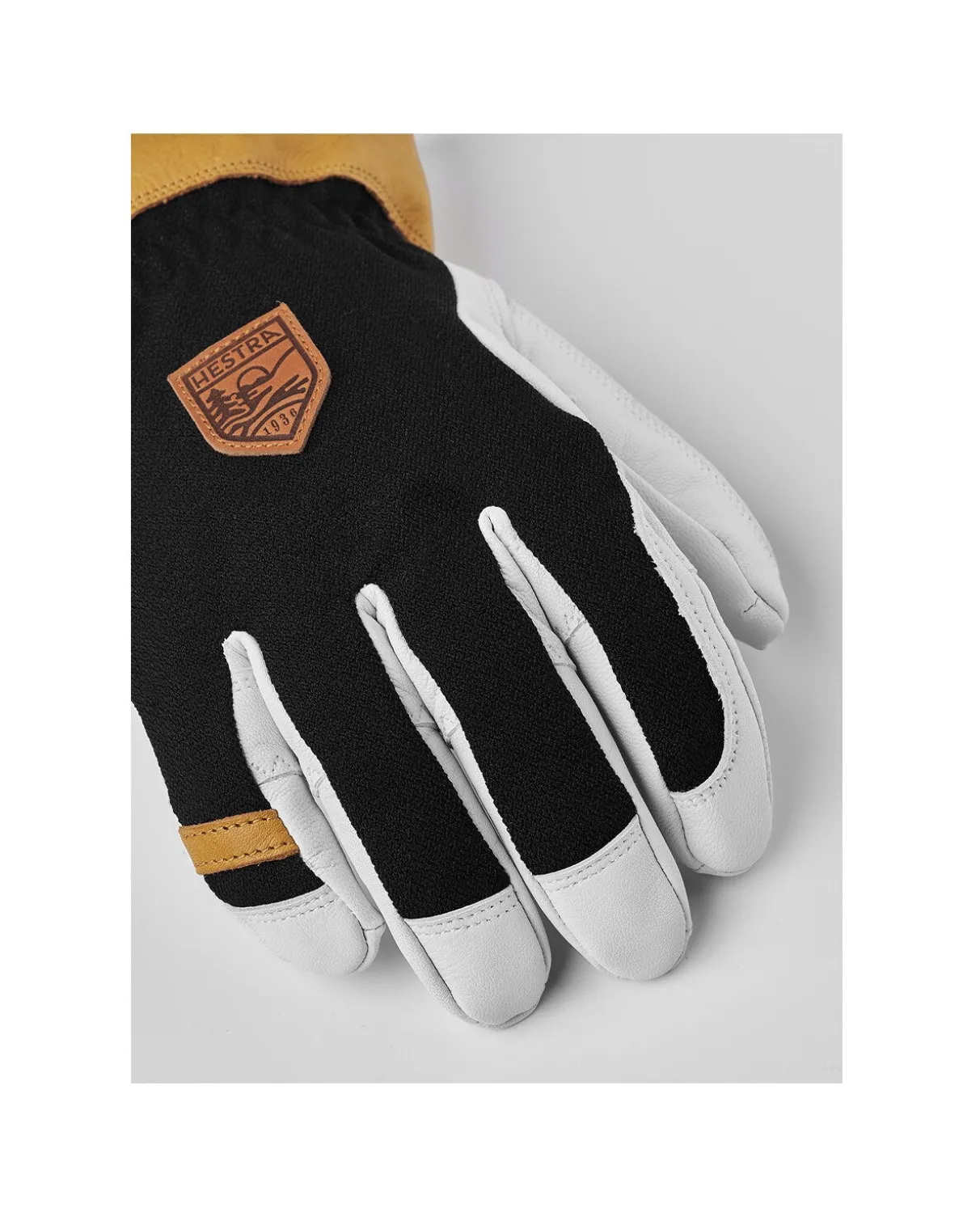 Hestra Ergo Grip Alpha 5 Finger - Black