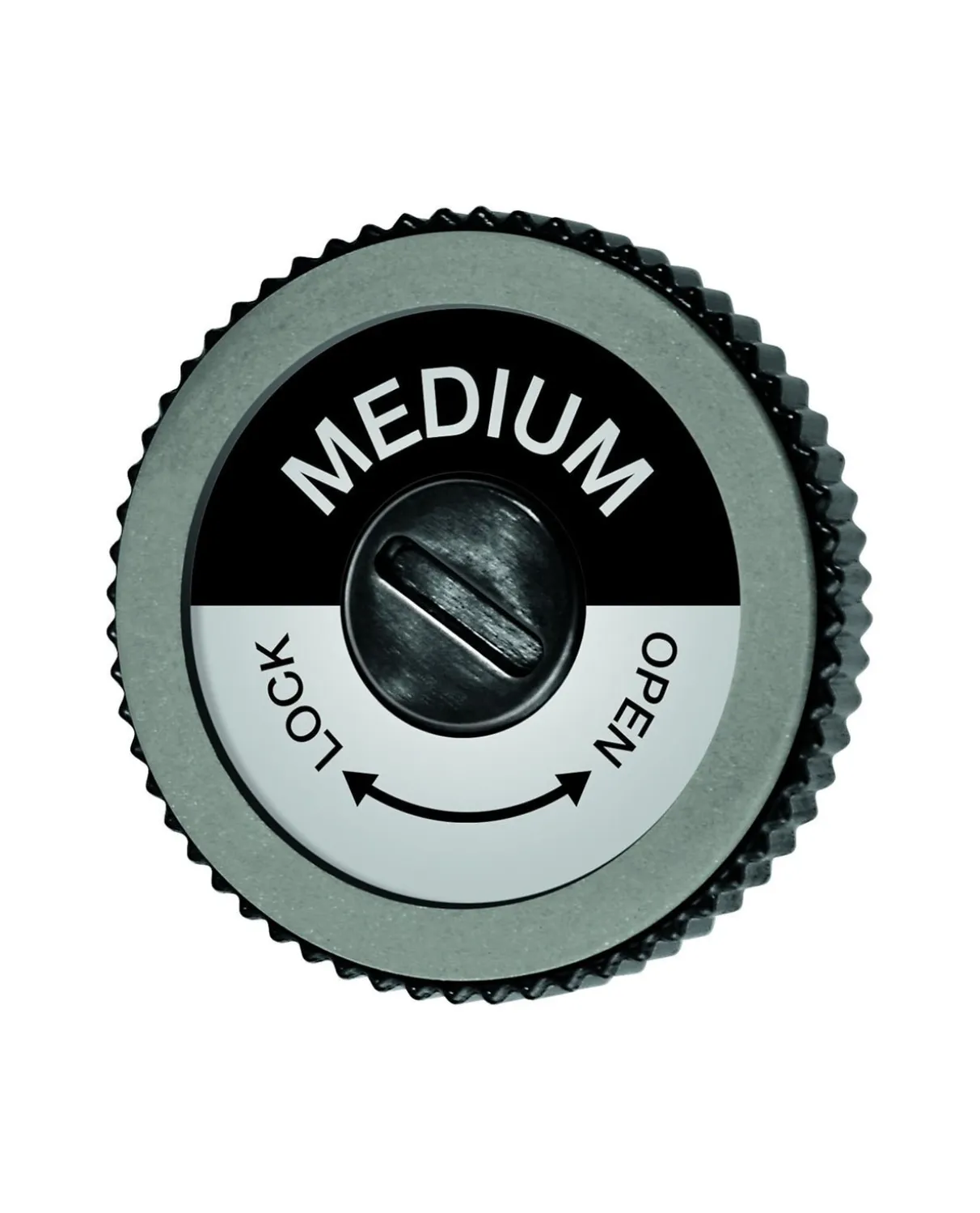 Swix EVO Spare Disc